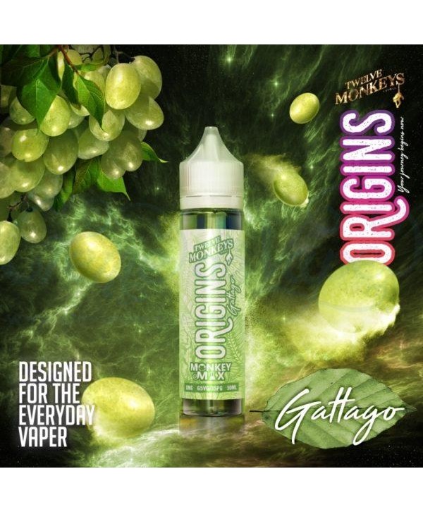 GATTAGO ORIGINS E LIQUID BY 12 MONKEY 50ML 65VG